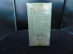 ginny pink box bk